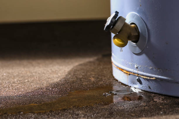 Best Sewage cleanup and water damage restoration  in Leetonia, OH