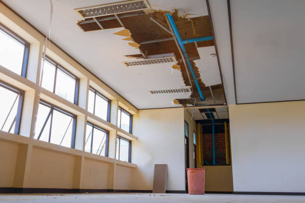 Best Residential water damage restoration  in Leetonia, OH