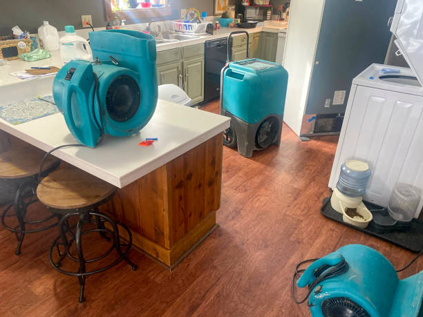 Best Sewage cleanup and water damage restoration  in Leetonia, OH
