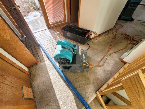  Leetonia, OH Water damage restoration Pros