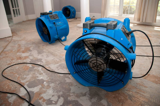 Best Emergency water damage restoration  in Leetonia, OH