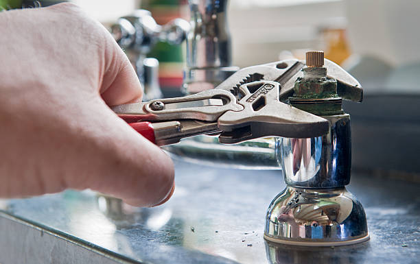 Best Mold removal after water damage  in Leetonia, OH