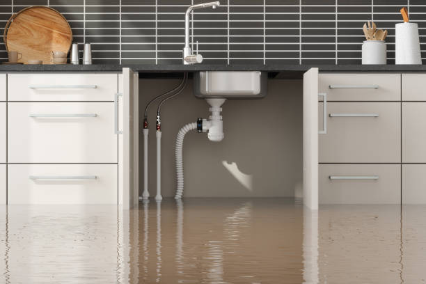 Best Residential water damage restoration  in Leetonia, OH