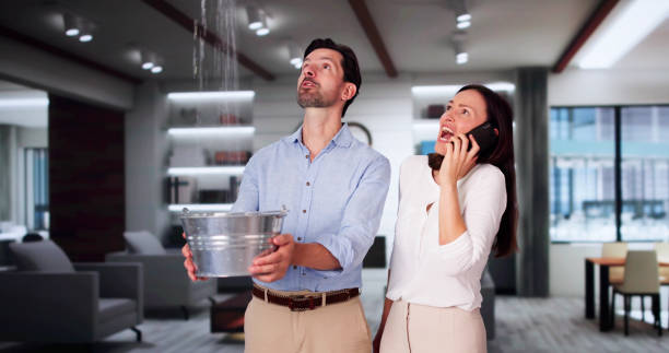  Leetonia, OH Water damage restoration Pros